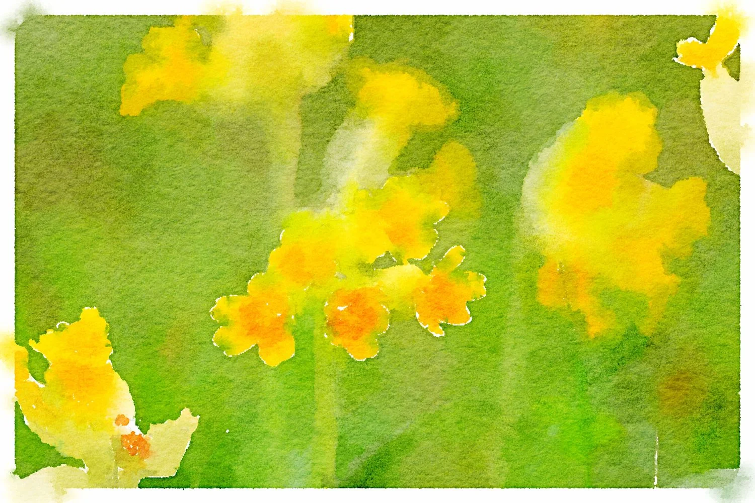 cowslips