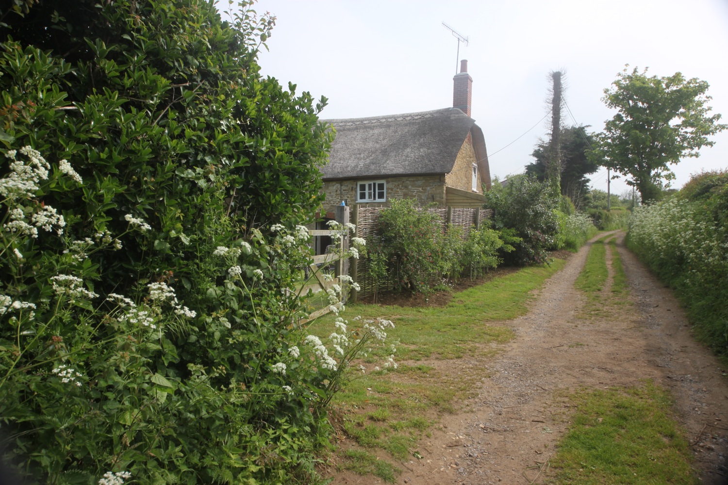 thatched cottage