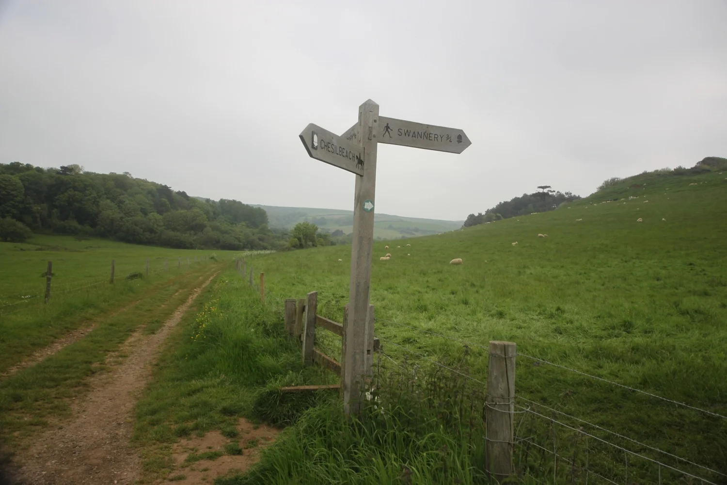signpost for swannery