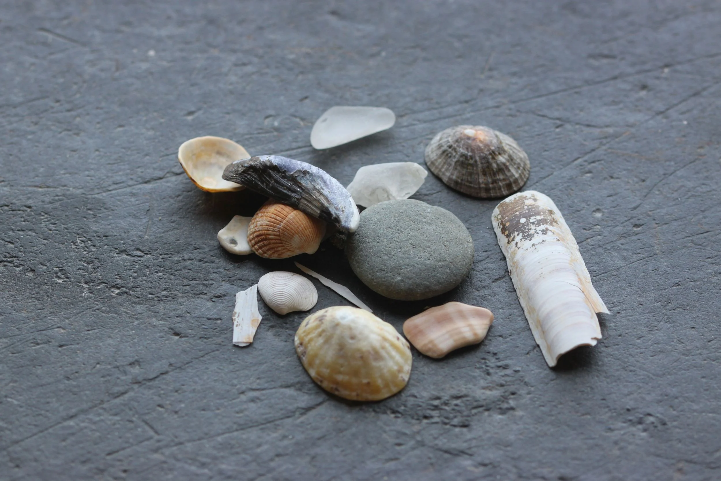 beach collection
