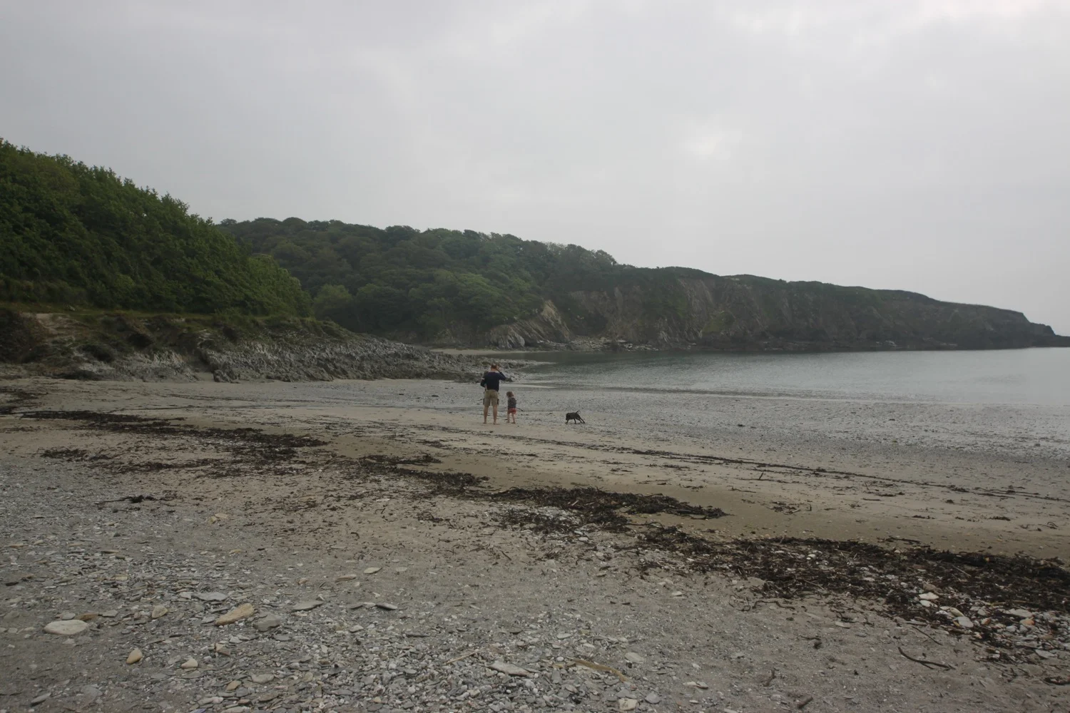 polridmouth cove