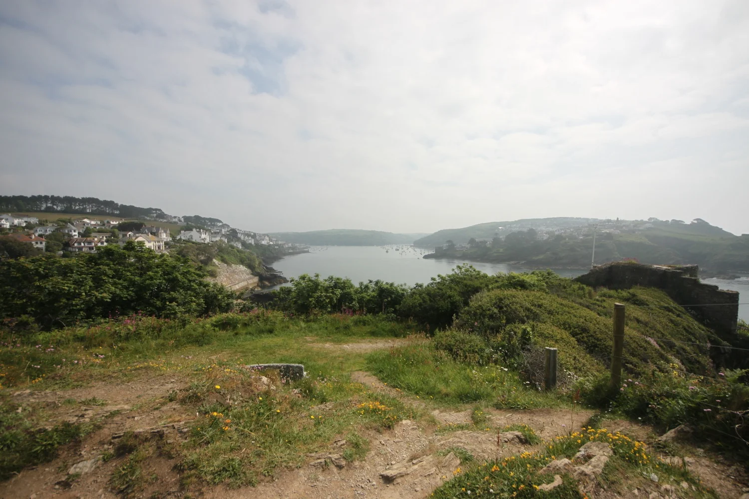 view over fowey