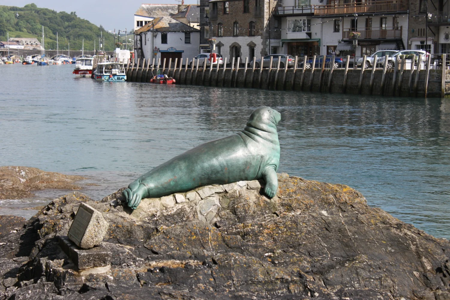 nelson