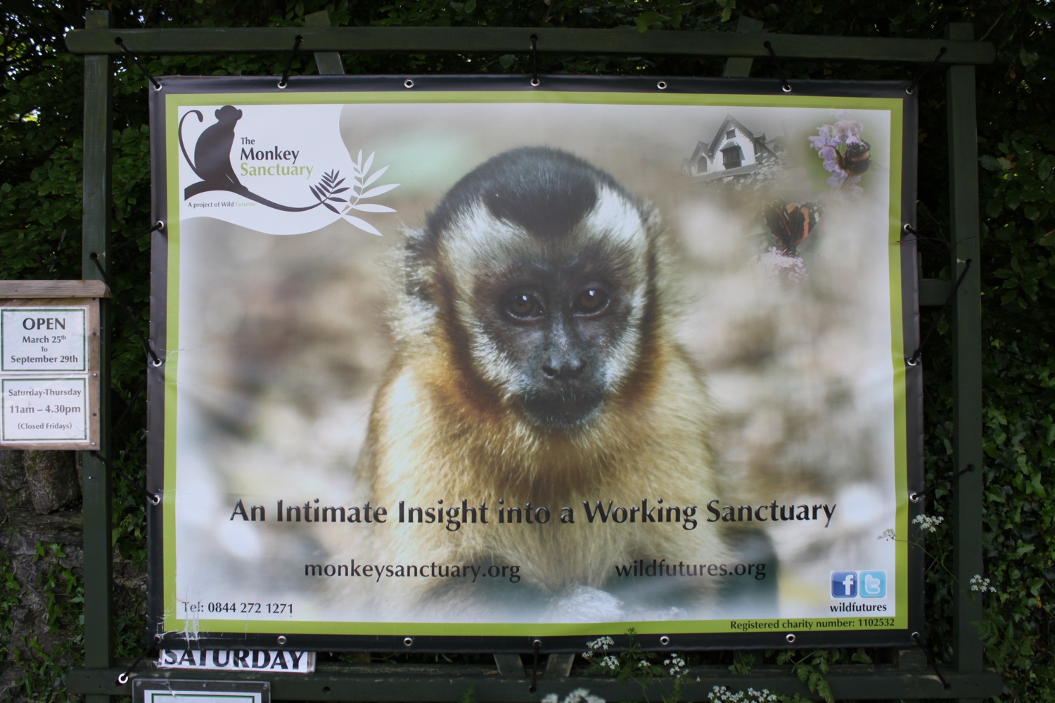 monkey sanctuary