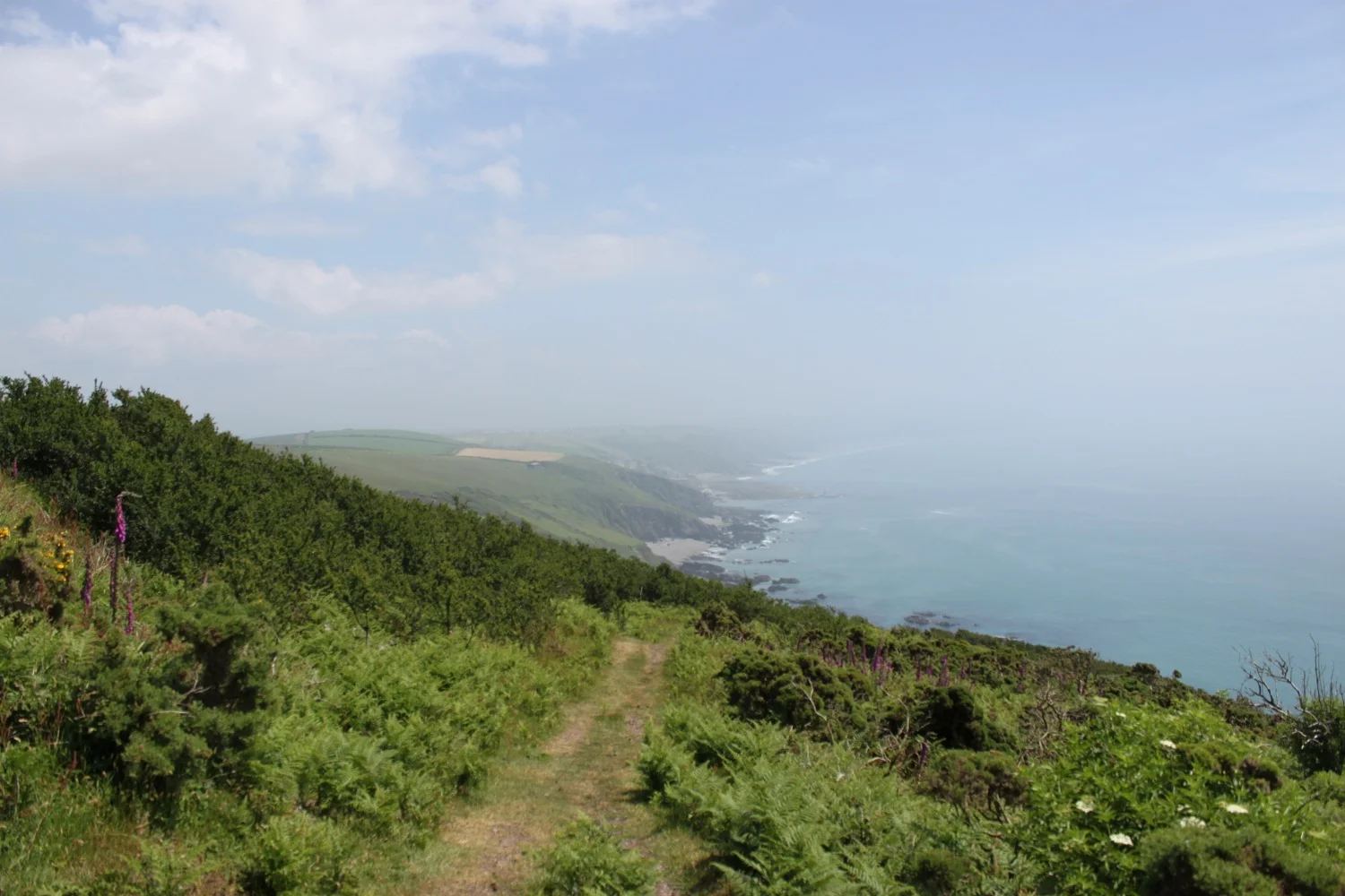 hazy view towards portwrinkle