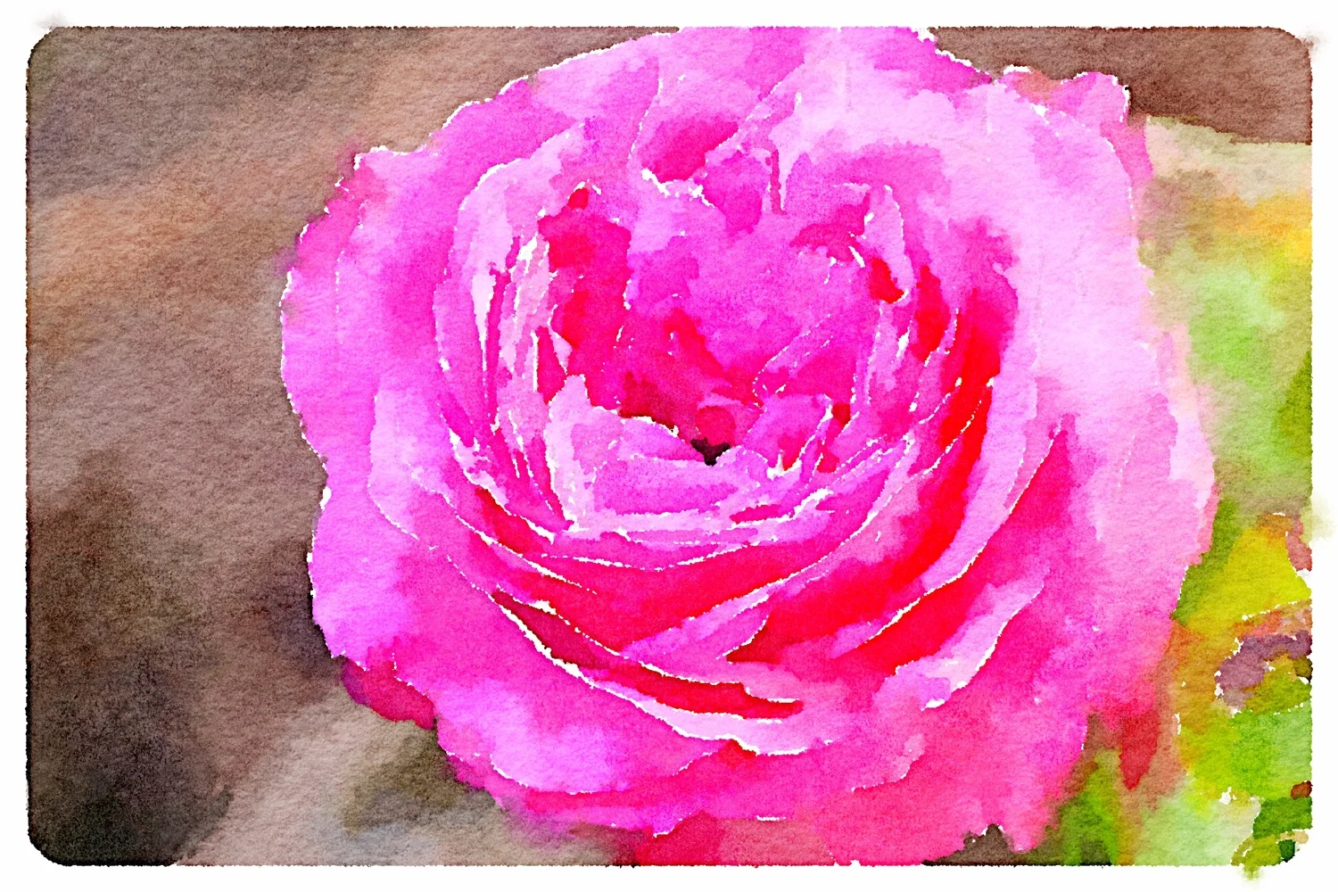 rose