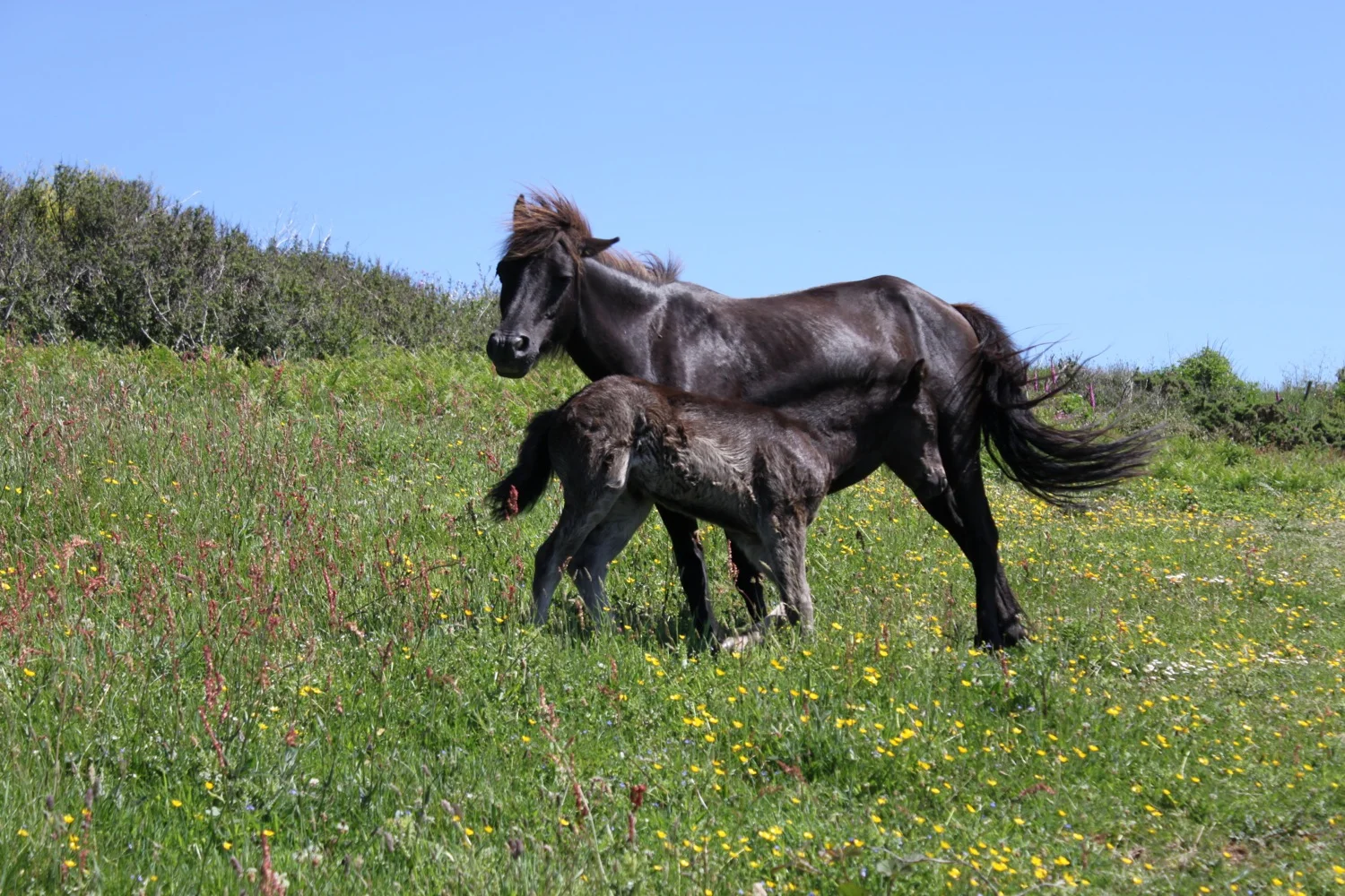mother and child