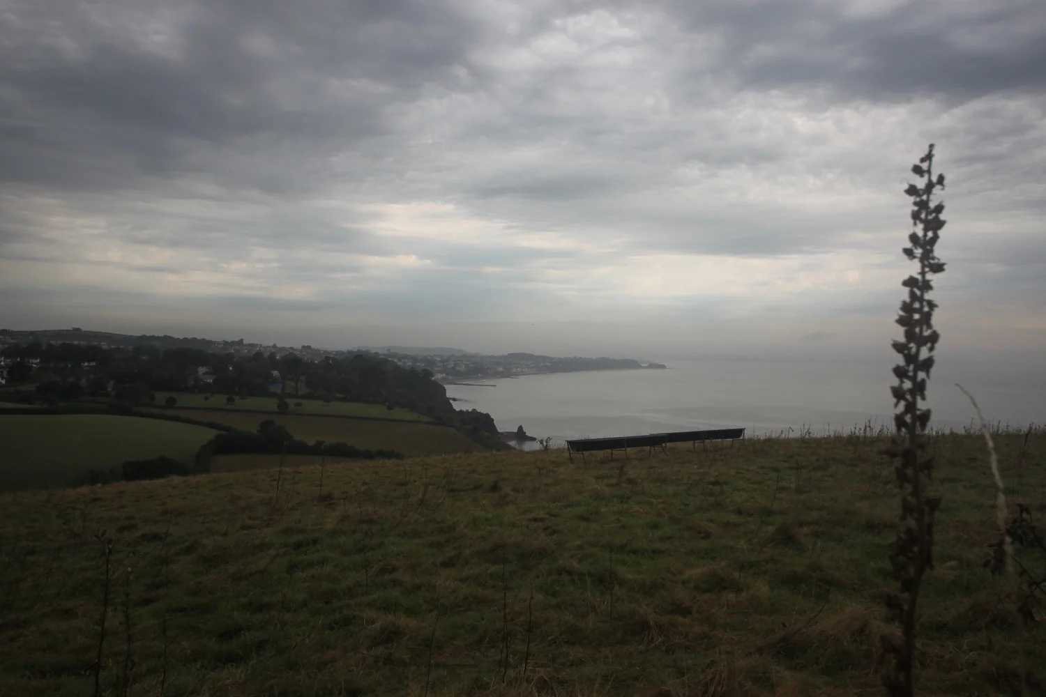 view over dawlish