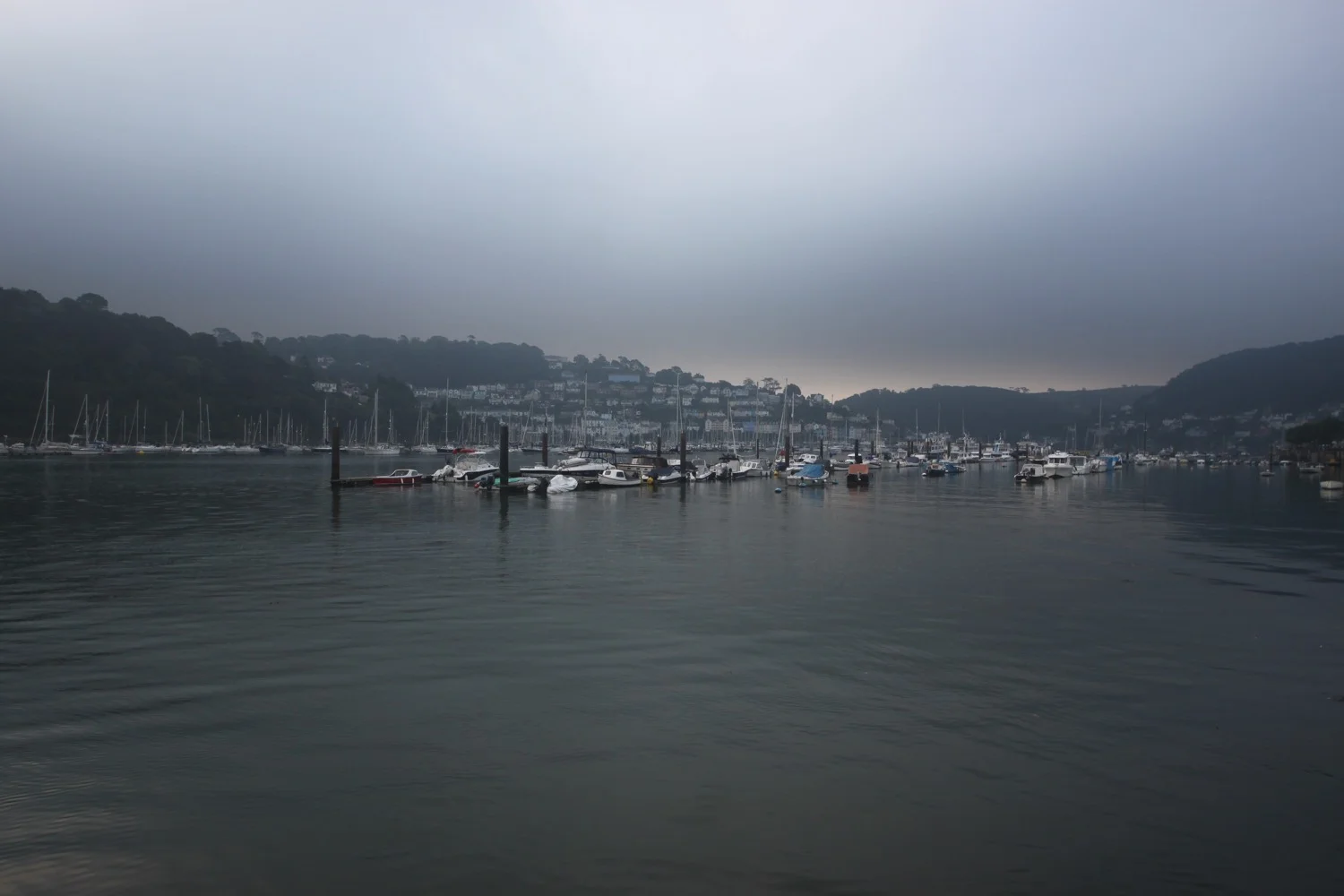 misty dartmouth