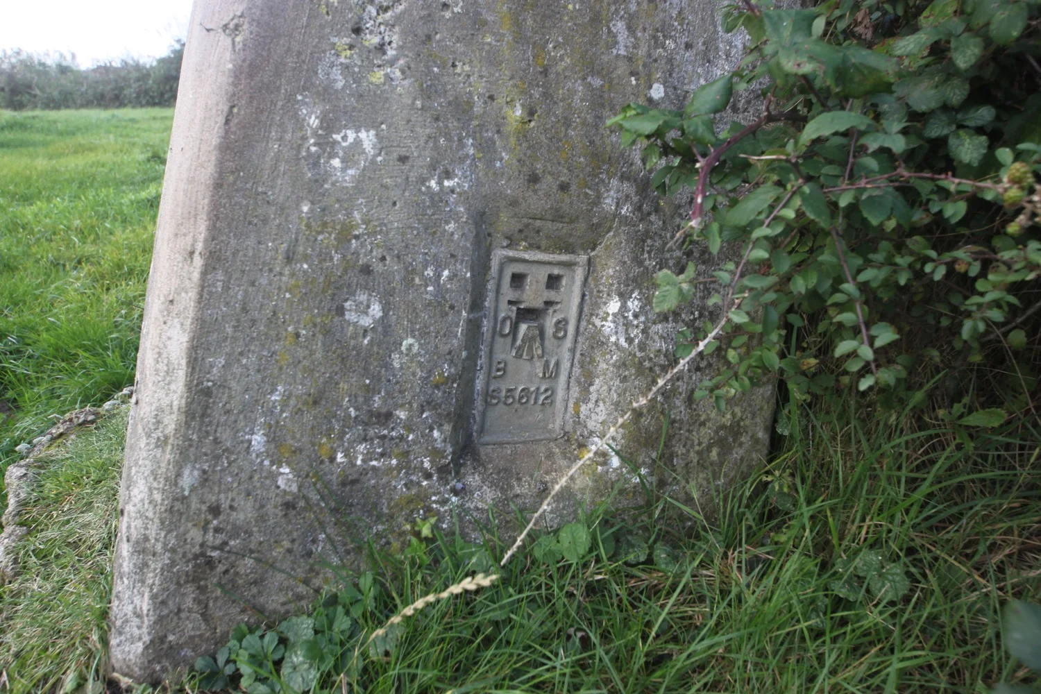 dizzard point trig point