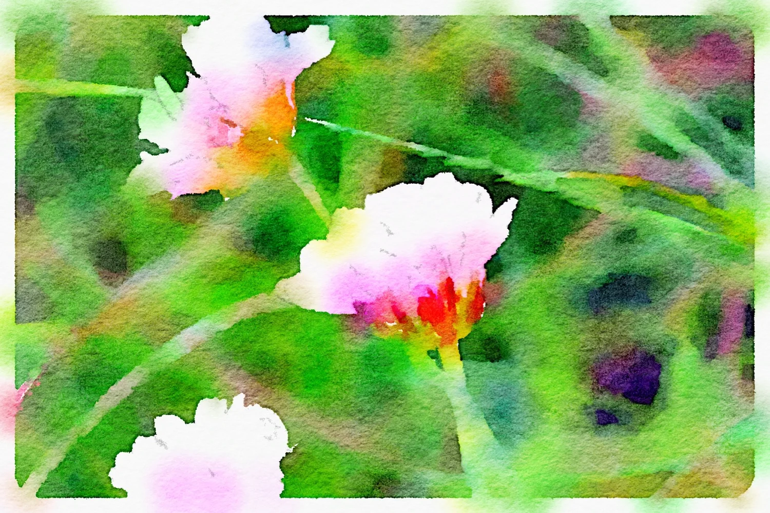 sea thrift