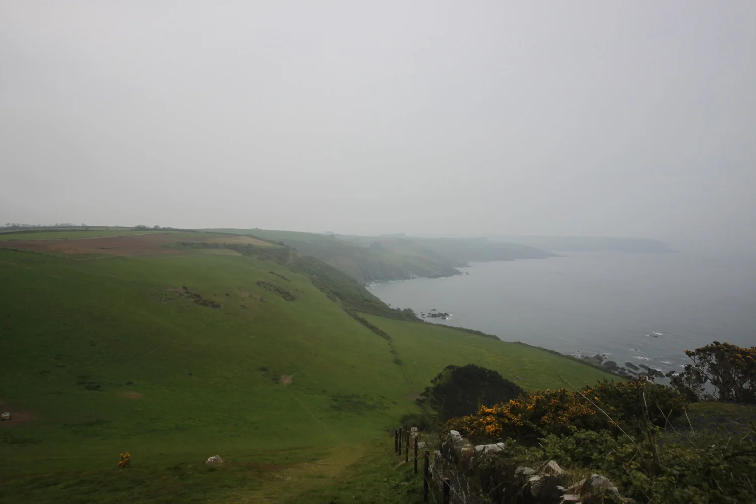 view from beacon hill