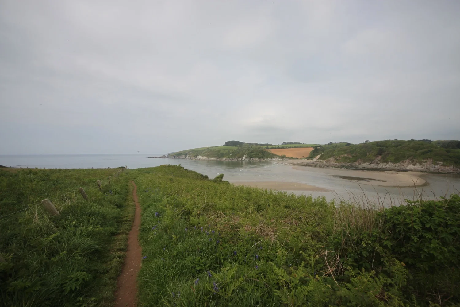 view over the river erme and out to sea