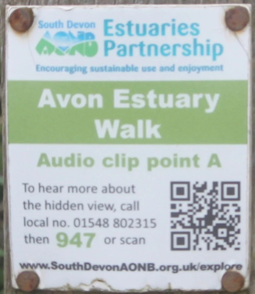 avon estuary walk