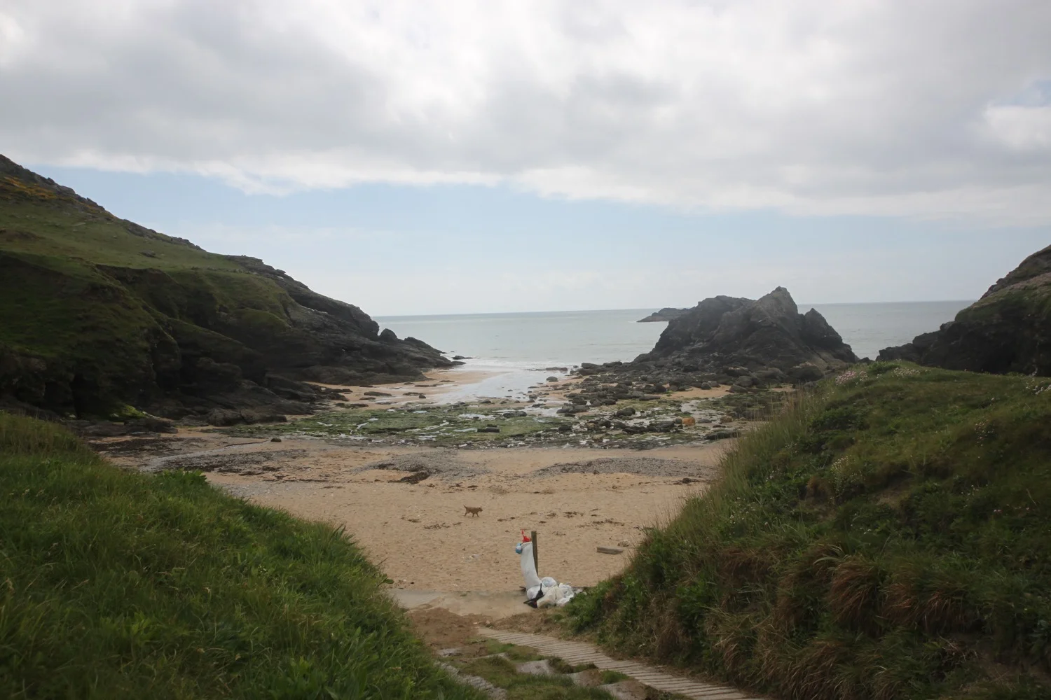 soar mill cove