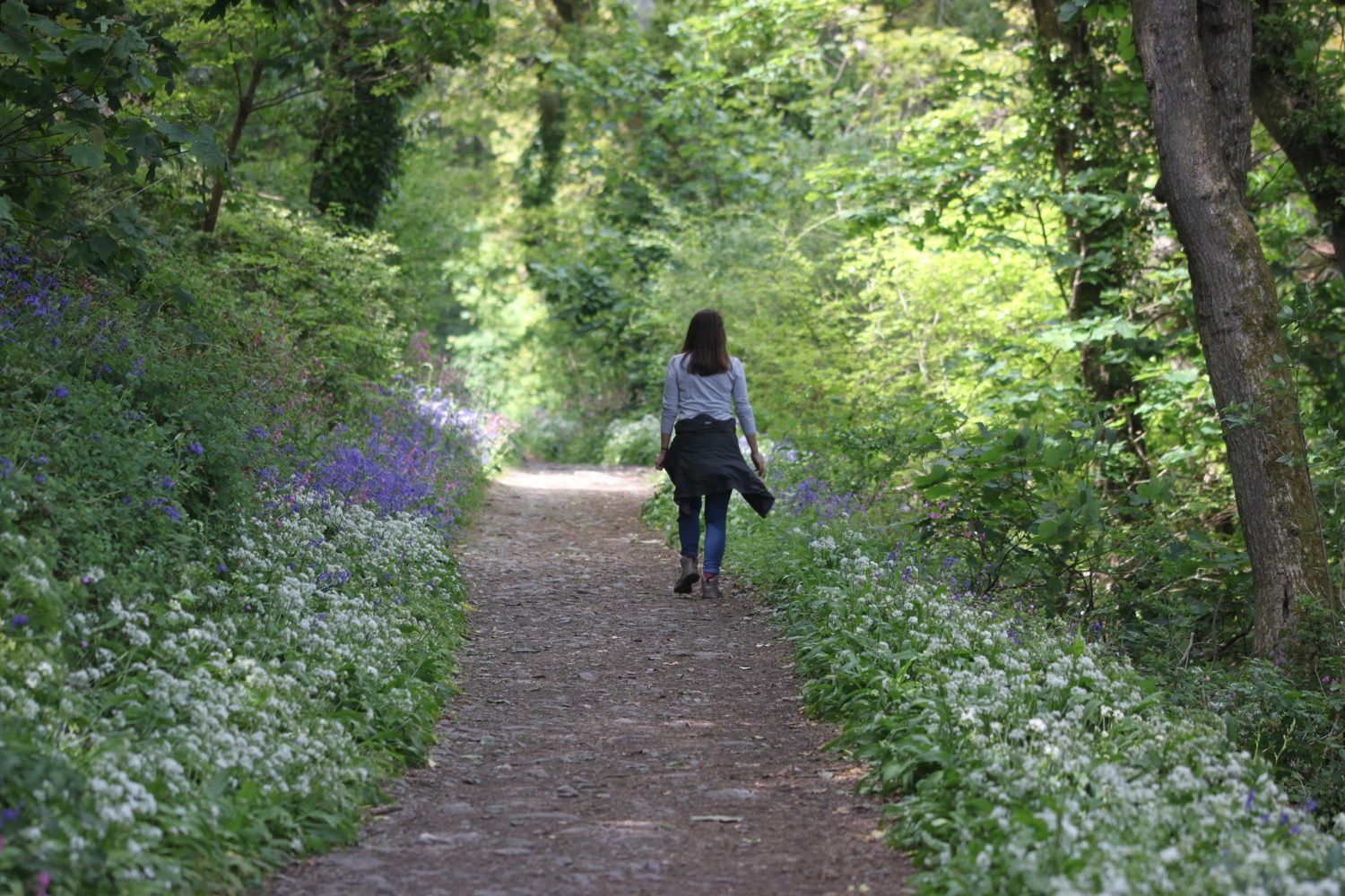 wildflowers 30.jpg