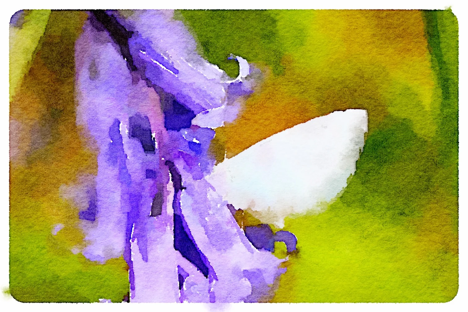 holly blue