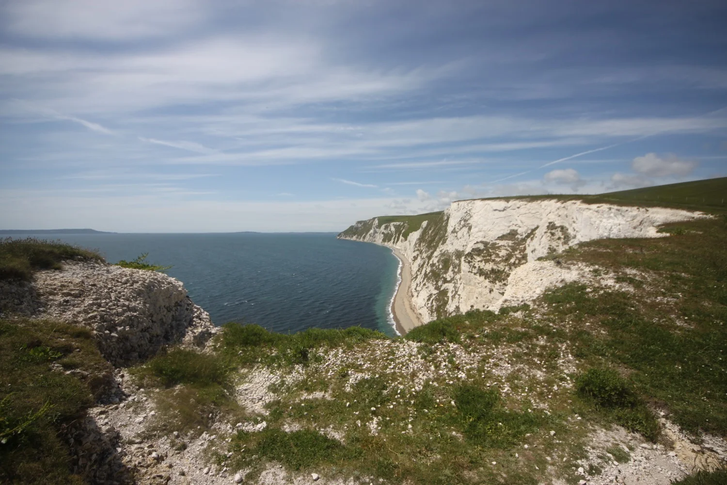 view from bat's head