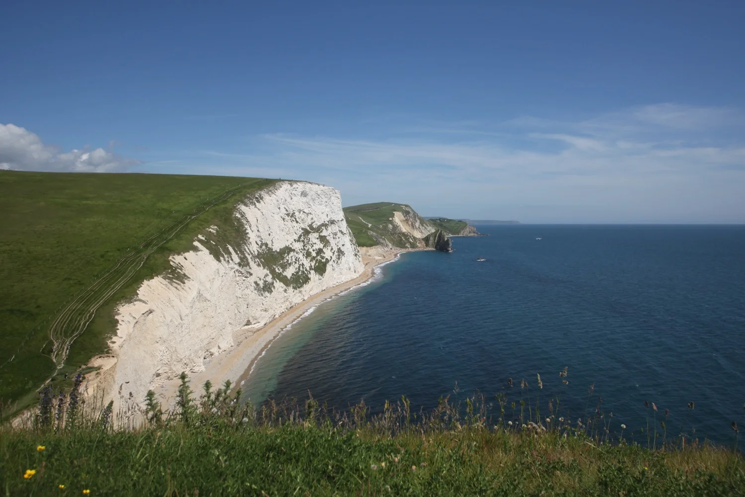 view from bat's head