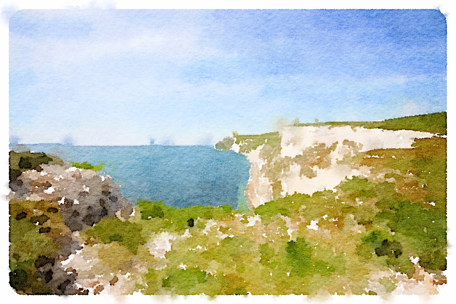 view from bat's head