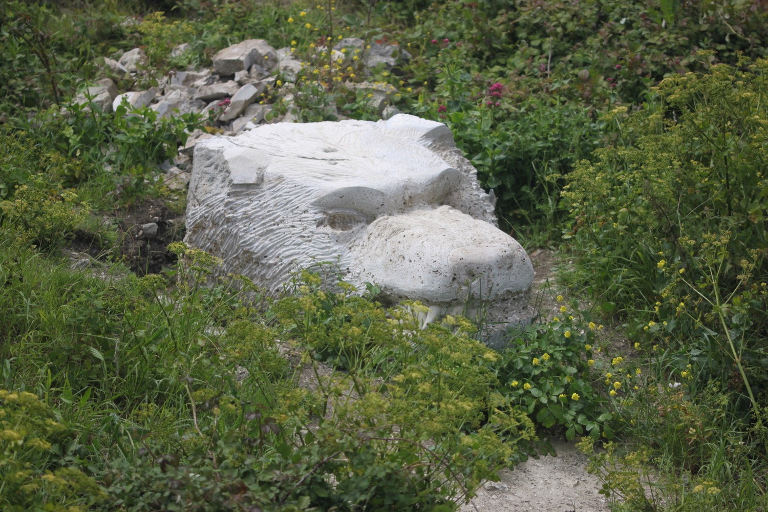 tout quarry 3.jpg