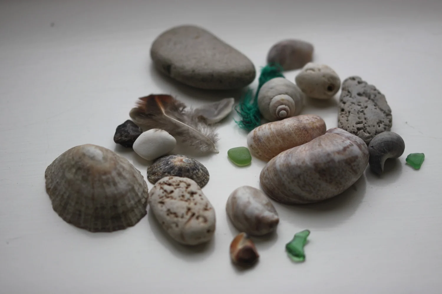 beach collection
