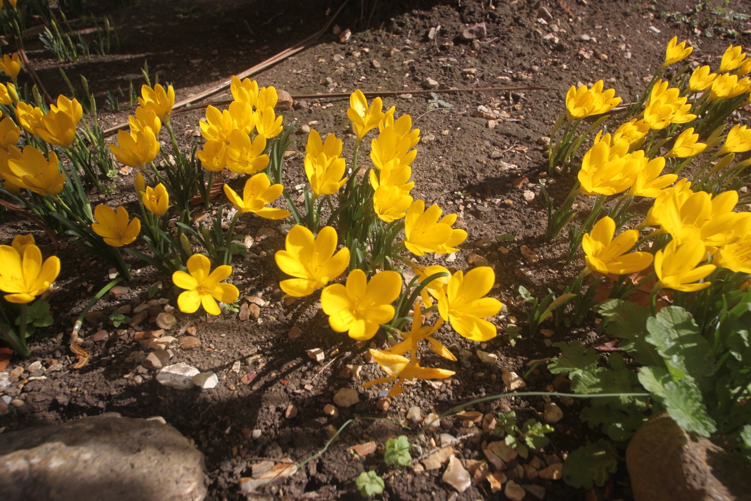 quarr abbey 6.jpg