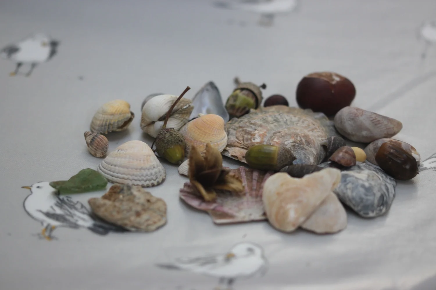 beach collection