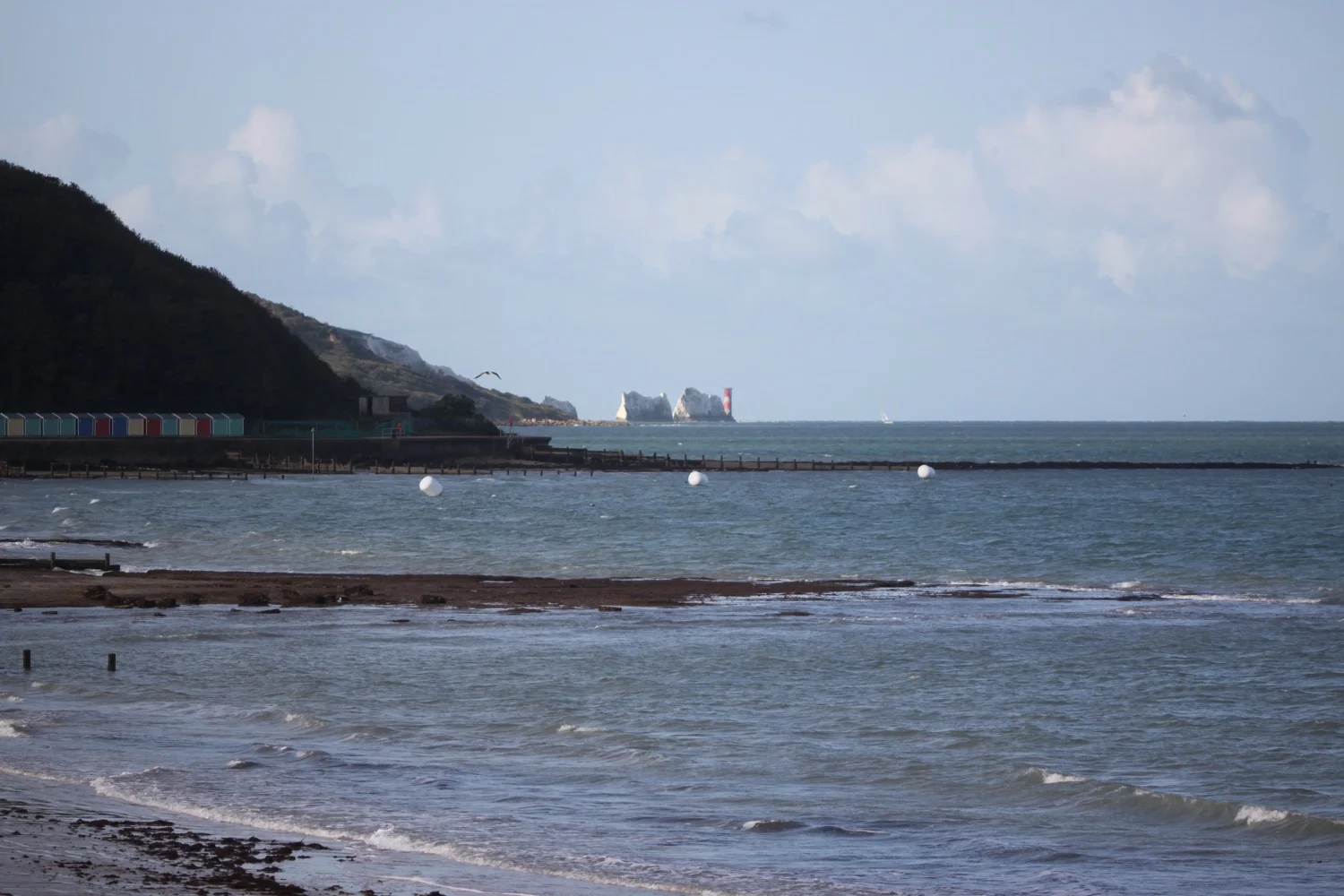 the needles