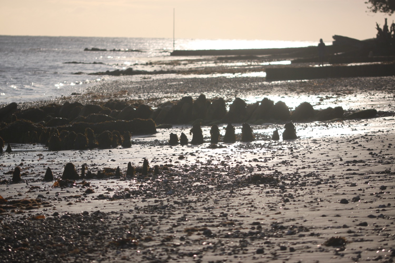 bembridge point beach.jpg 9.jpg