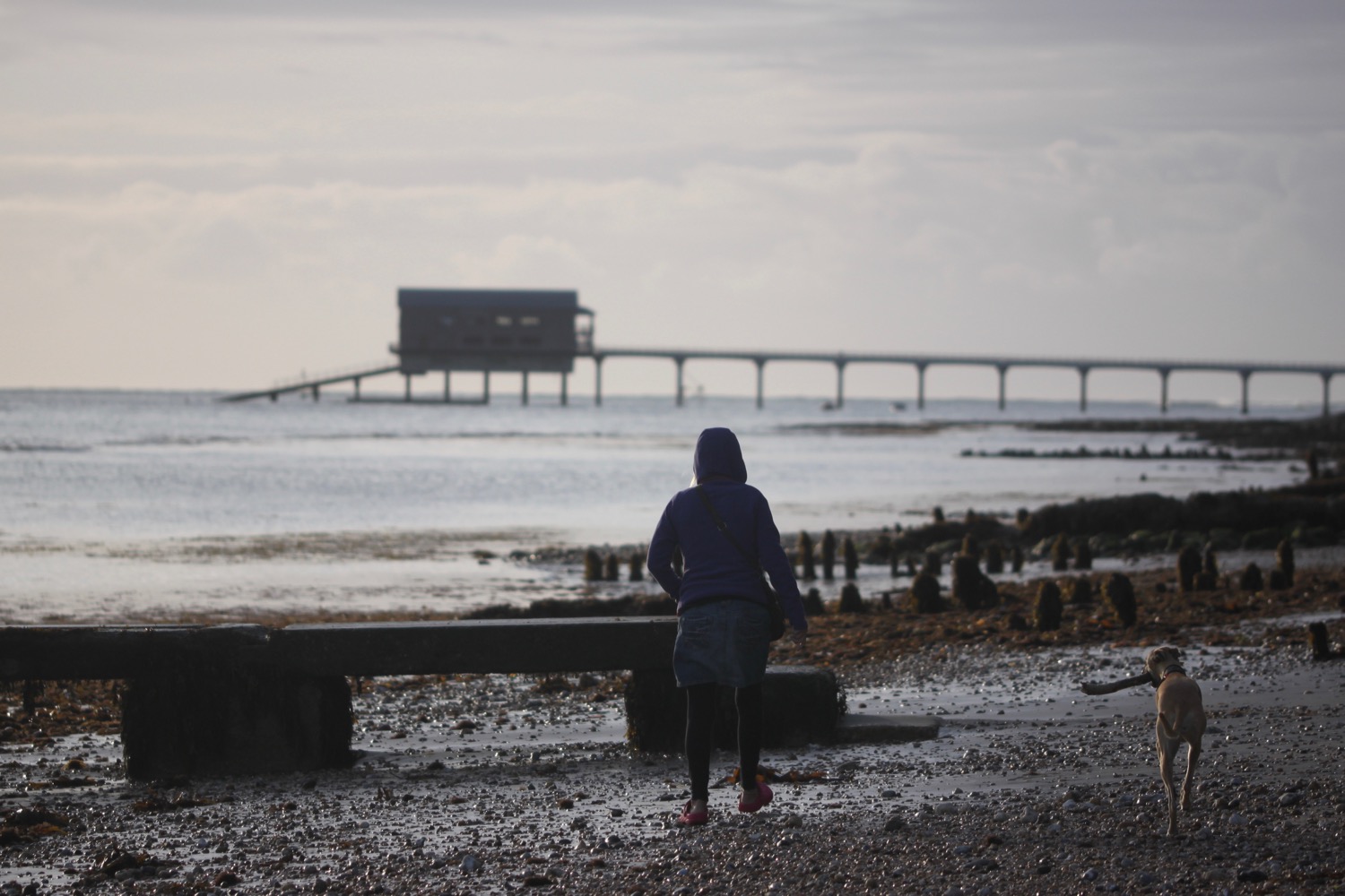 bembridge point beach.jpg 12.jpg