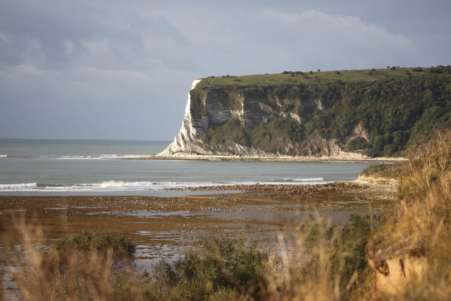 whitecliff bay