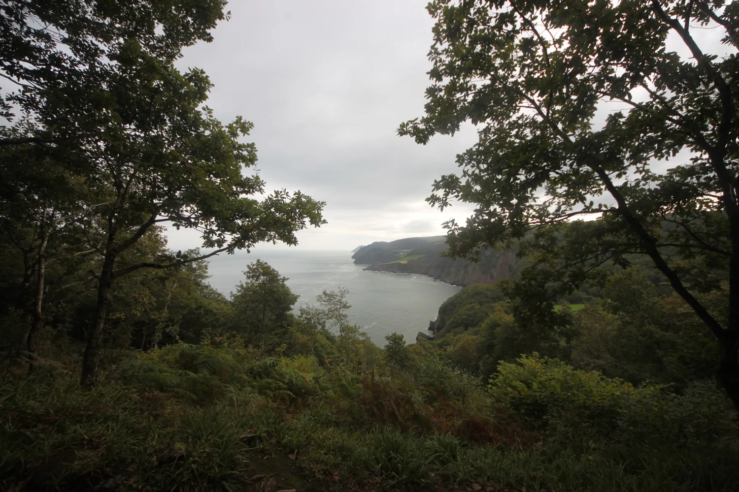 view back along the coast