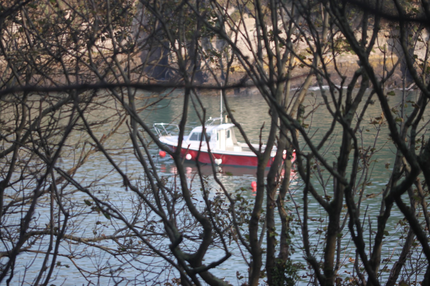 watermouth bay 3.jpg