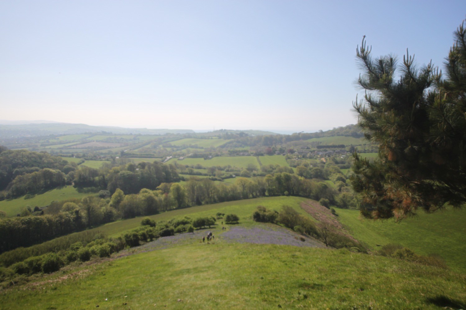 colmers hill 1.jpg