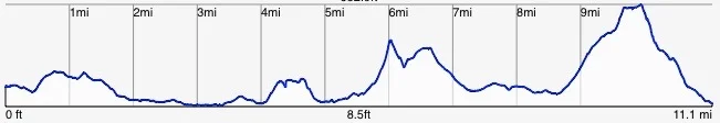 elevation 2.jpg