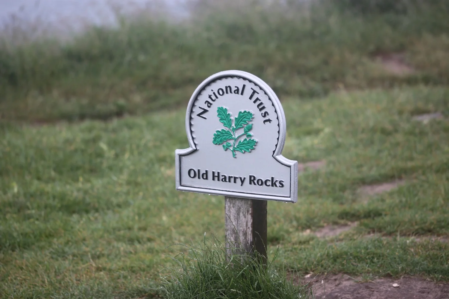 old harry rocks.jpg