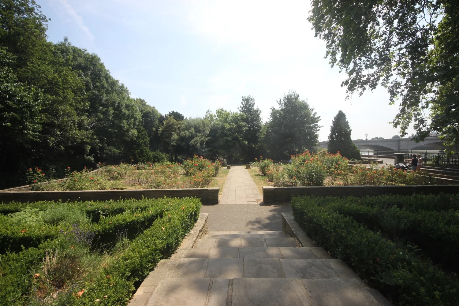 formal garden