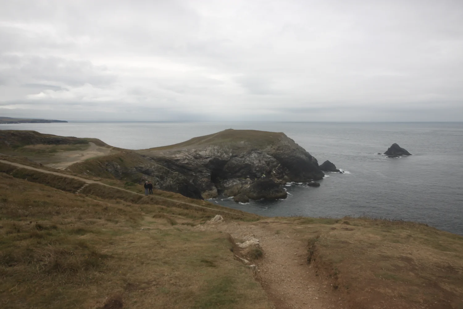 dinas head