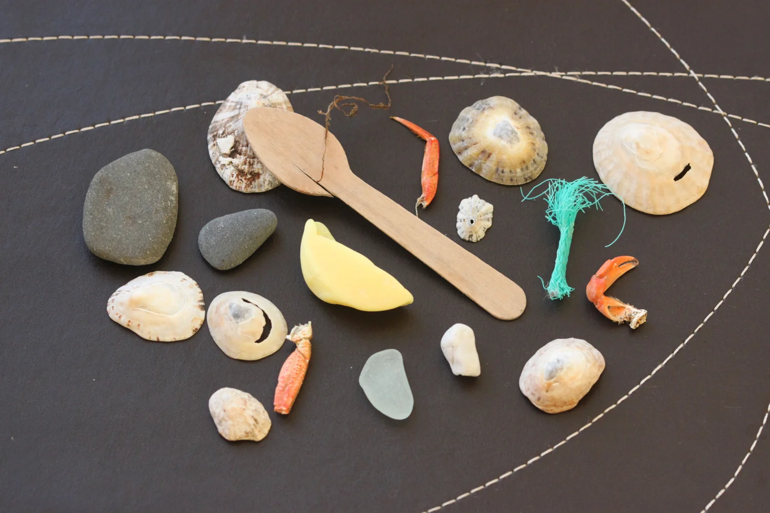 beach collection