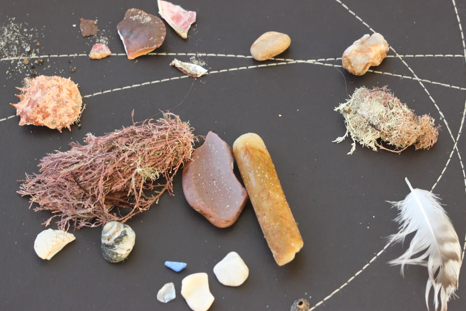 beach collection