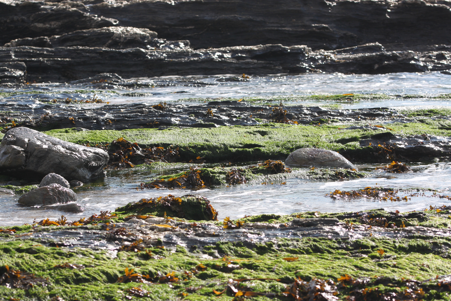 porthleven sands 2.jpg