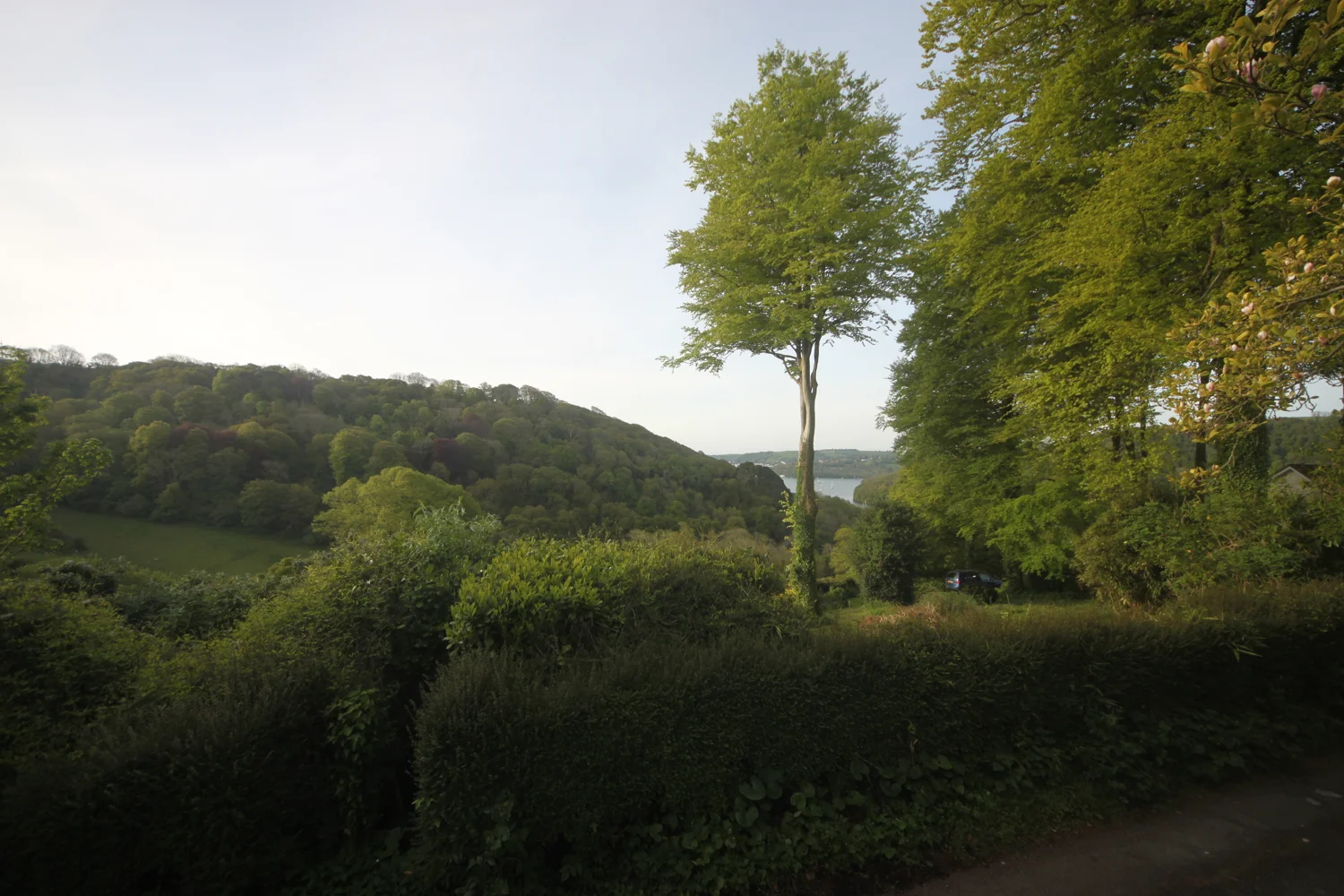 the view from herons rest