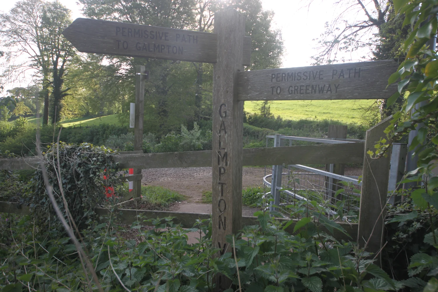 sign 2.jpg