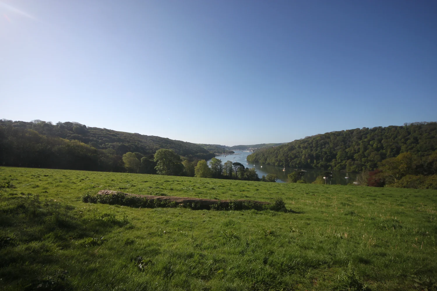 view over the river dart