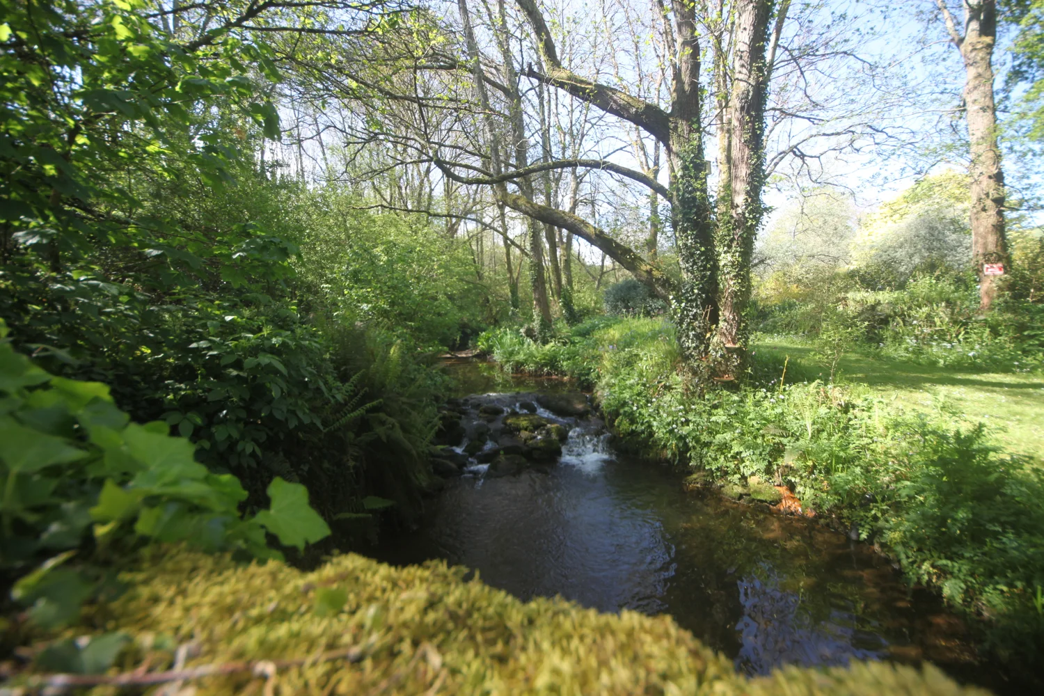 dittisham mill creek