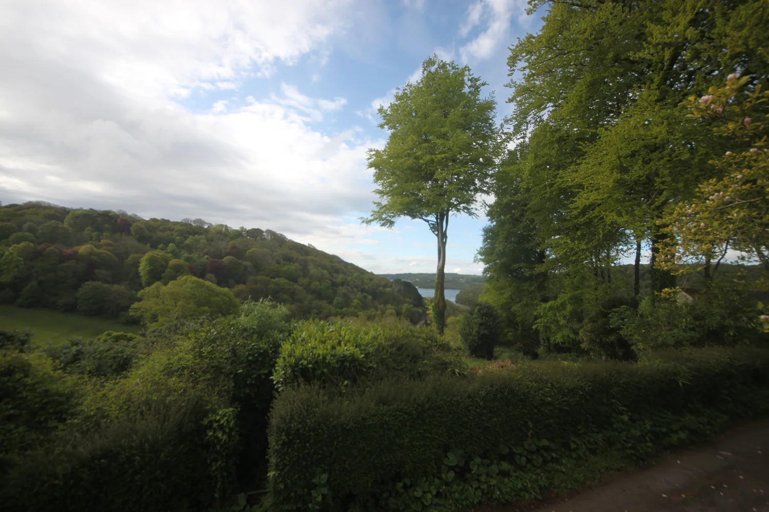 the view from herons rest