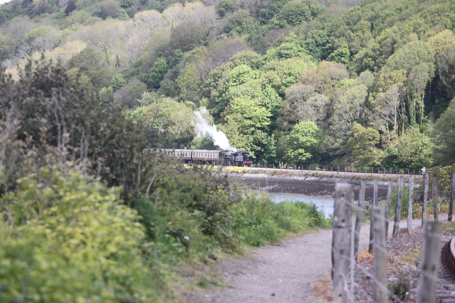 steam train 1.jpg