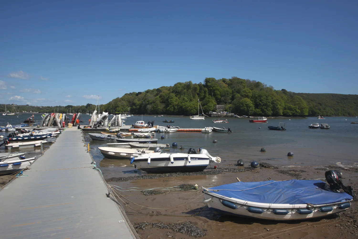 river dart at dittisham
