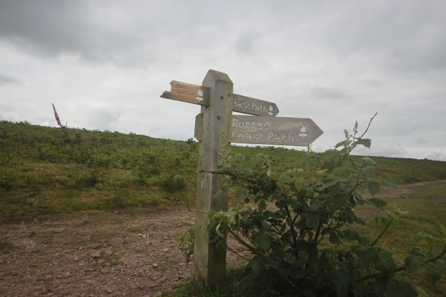 rugged coast path